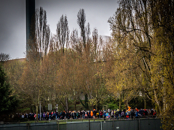 MS Walk 2019-39