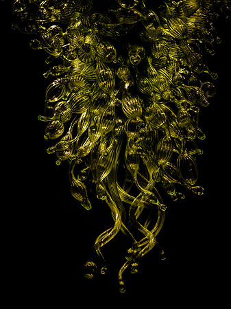Chihuly Garden and Glass Set 3-12