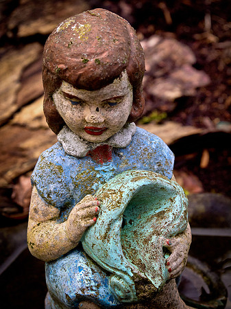 Bellingham Volkswalk 2-20-12-29