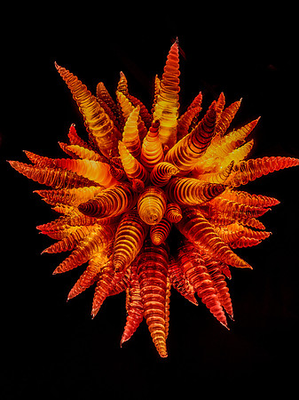 Chihuly Garden and Glass Set 3-3