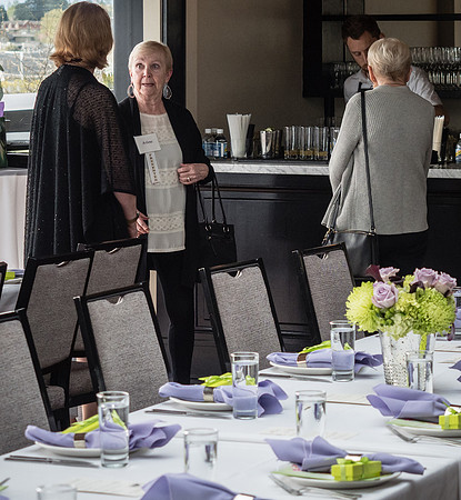 Swedish Hospital Volunteer Appreciation Banquet 2018 @ Stoneburner-40