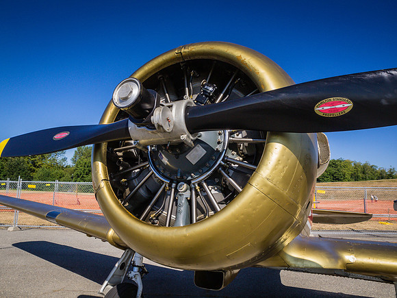 Vintage Airplanes Paine Field-6