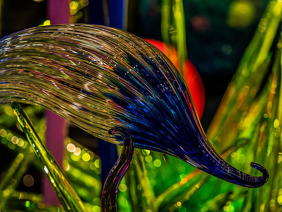 Chihuly Garden and Glass Set 2-23
