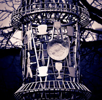 Bellingham Volkswalk 2-20-12-14
