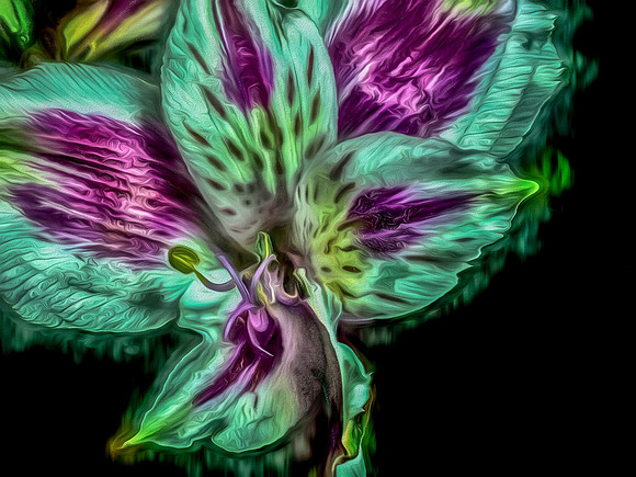 Random Flowers 4-5-18-3
