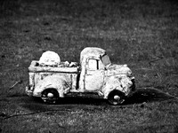 Bellingham Volkswalk 2-20-12