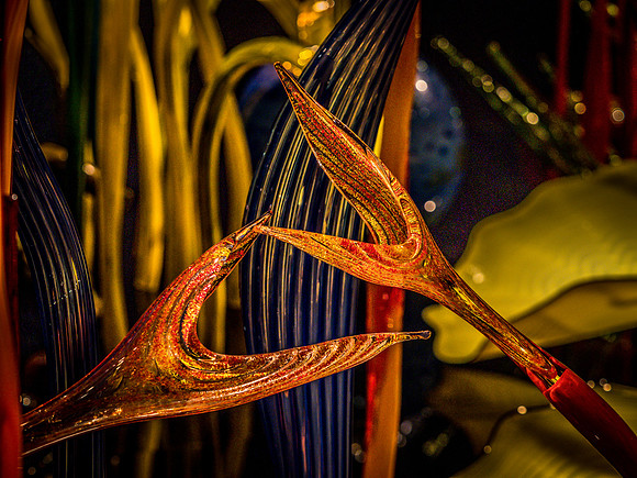 Chihuly Garden and Glass Set 2-19