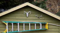 Bellingham Volkswalk 2-20-12-7