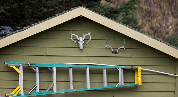 Bellingham Volkswalk 2-20-12-7