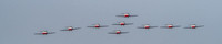 The Snowbirds Set 1 @ The  Abbotsford Show 2018-4