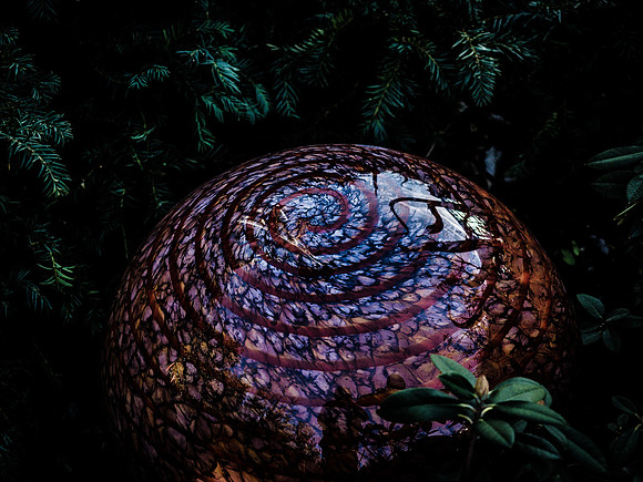Chihuly Garden and Glass Set 3-23