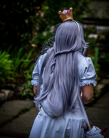 Sakura-Con 2019 Set 1-40