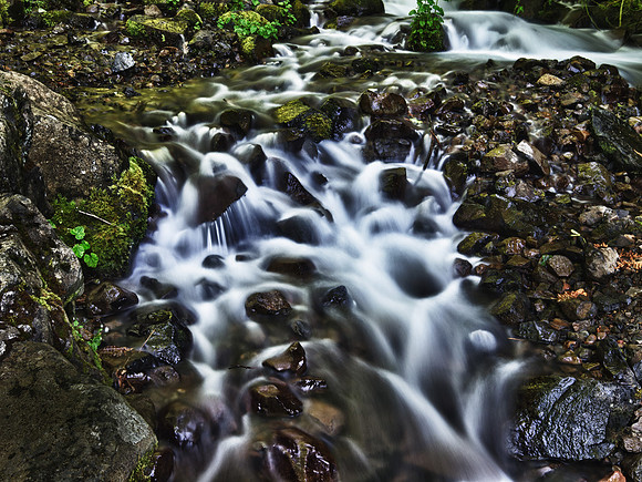 Columbia Gorge June 2012