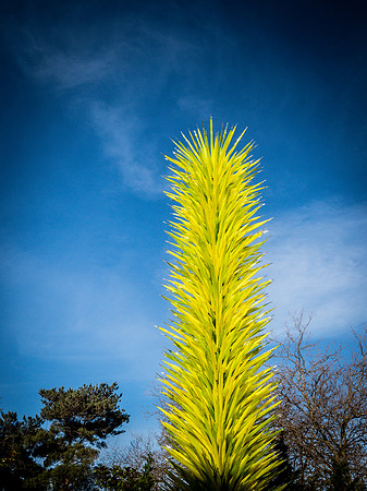 Chihuly Garden and Glass Set 3-22