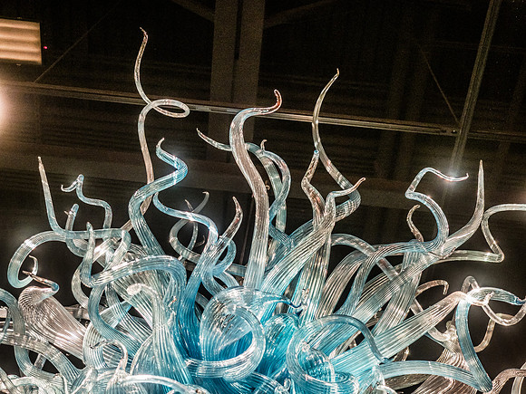 Chihuly Garden and Glass Set 3-14