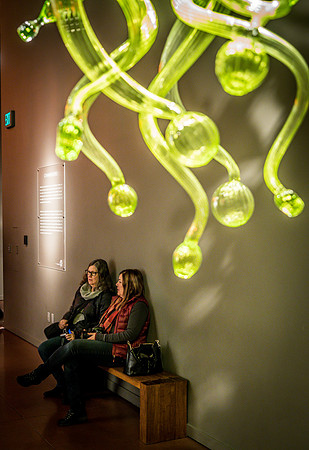 Chihuly Garden and Glass Set 3-9