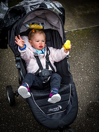 MS Walk 2019-46
