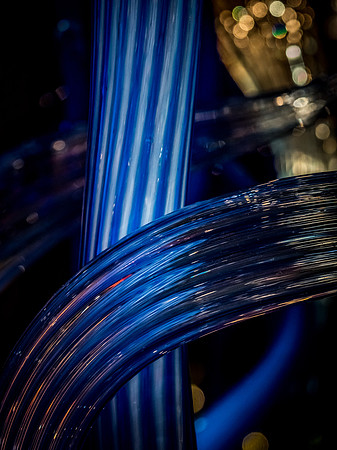 Chihuly Garden and Glass Set 2-20