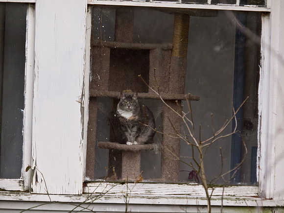 Bellingham Volkswalk 2-20-12-19