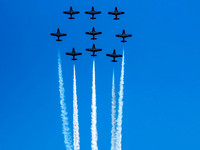 Snowbirds @ Abbotsford Air Show 2015