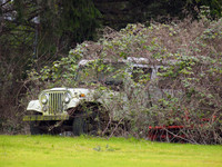 Bellingham Volkswalk 2-20-12-18