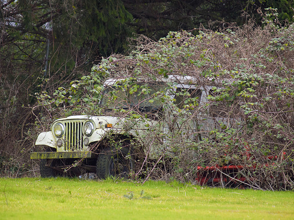 Bellingham Volkswalk 2-20-12-18