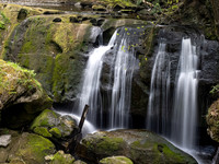 Whatcom Falls and Hovander Fragrance Garden