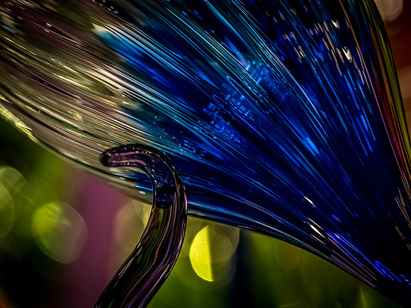 Chihuly Garden and Glass Set 2-17