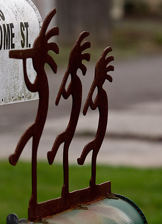 Bellingham Volkswalk 2-20-12-8
