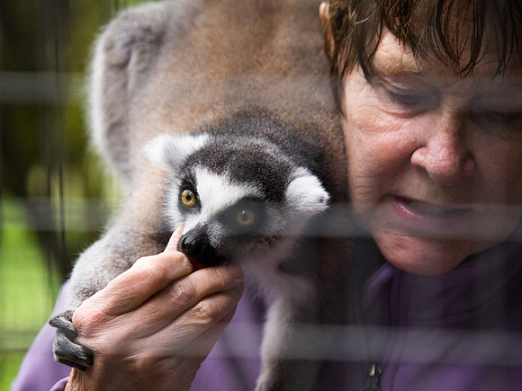 The Arlington Kangaroo Farm_-7