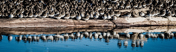 Skagit Valley 1-13-19-45