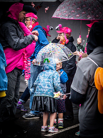 MS Walk 2019-11