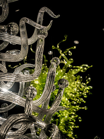 Chihuly Garden and Glass Set 3-7