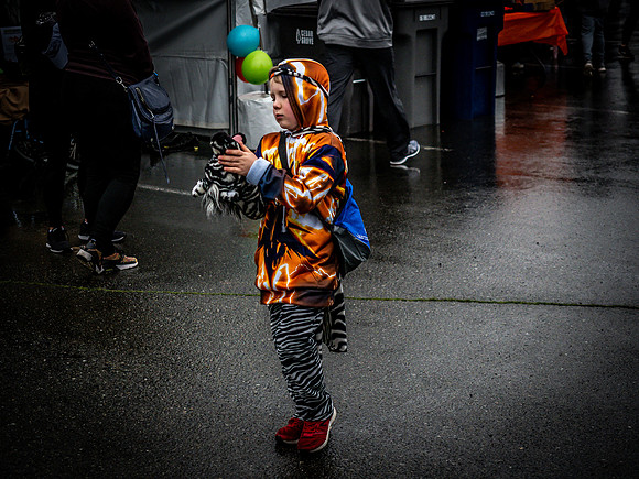 MS Walk 2019-20