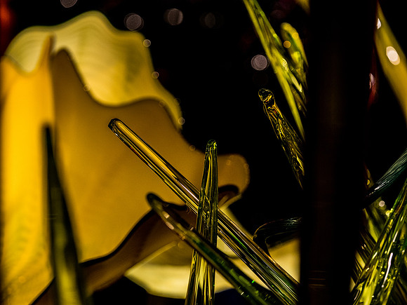 Chihuly Garden and Glass Set 2-9