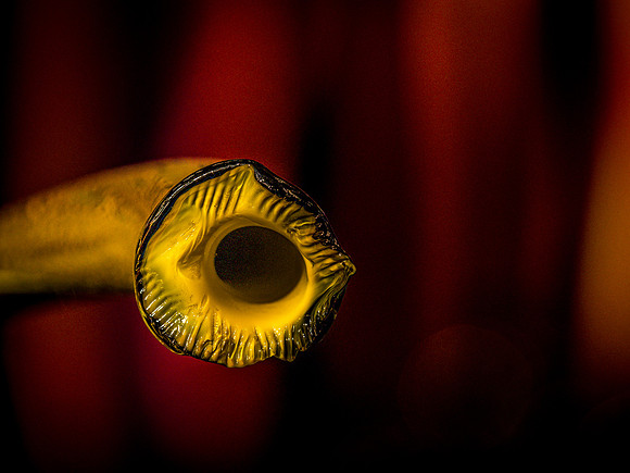 Chihuly Garden and Glass Set 2-10