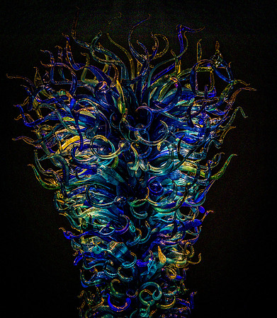 Chihuly Garden and Glass Set 2-6