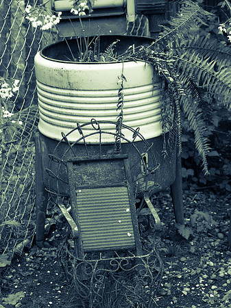 The Arlington Kangaroo Farm_-10