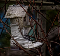 Bellingham Volkswalk 2-20-12-20