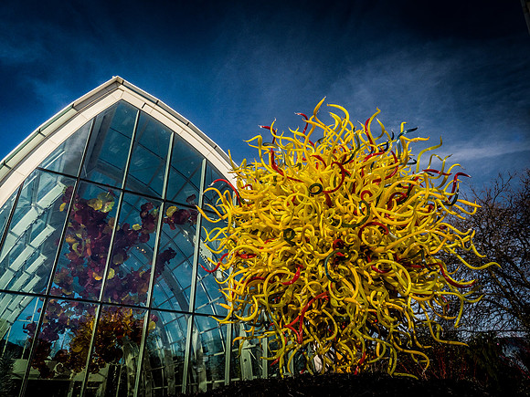Chihuly Garden and Glass Set 3-20