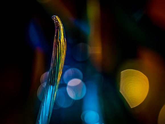 Chihuly Garden and Glass Set 2-14