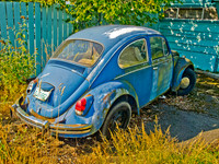 Bellingham,WA Volkswalk 2011