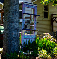 Bellingham Volkswalk 2011-13