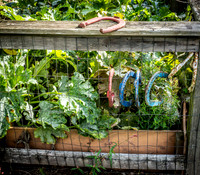 A Day In Snohomish