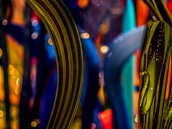 Chihuly Garden and Glass Set 2-18
