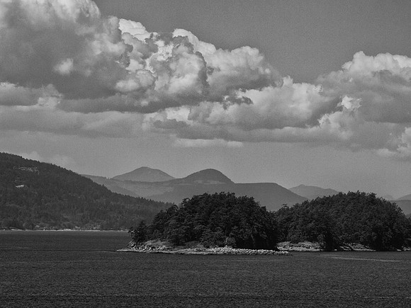 Sidney_BC Volkswalk May 2012-3