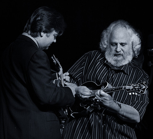 The Travelin' McCoury's with Peter Rowan & David Grismani@ Wintergrass 2013-29