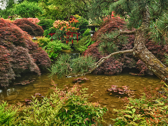 Butchart Gardens May 2012-17-2