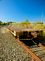 Bellingham Volkswalk 2011-16
