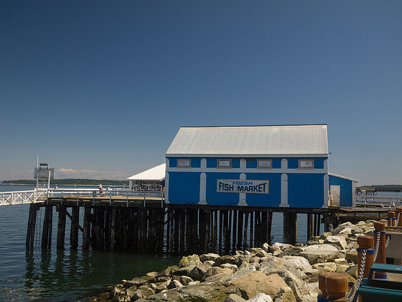 Sidney_BC Volkswalk May 2012-24